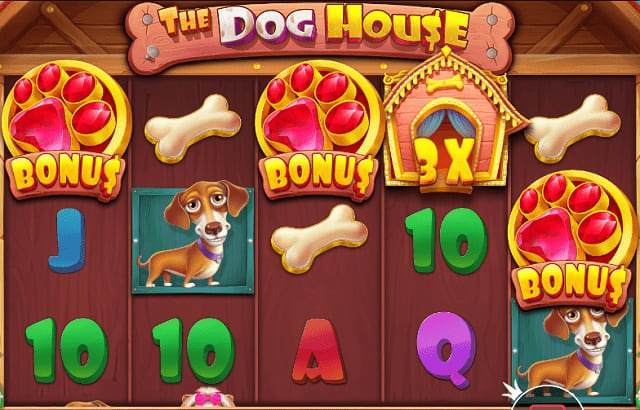 Apa Itu Slot The Dog House